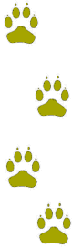 Laufspur